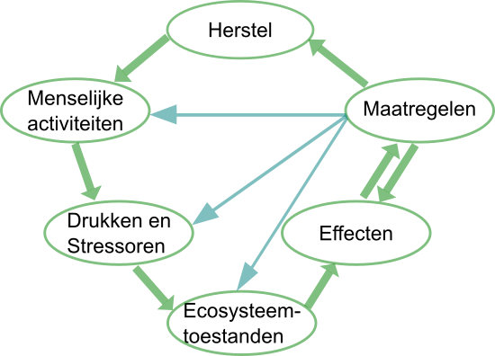 DPSIRR-keten