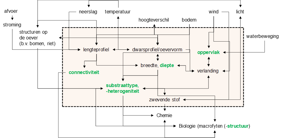 5S-model-structuren