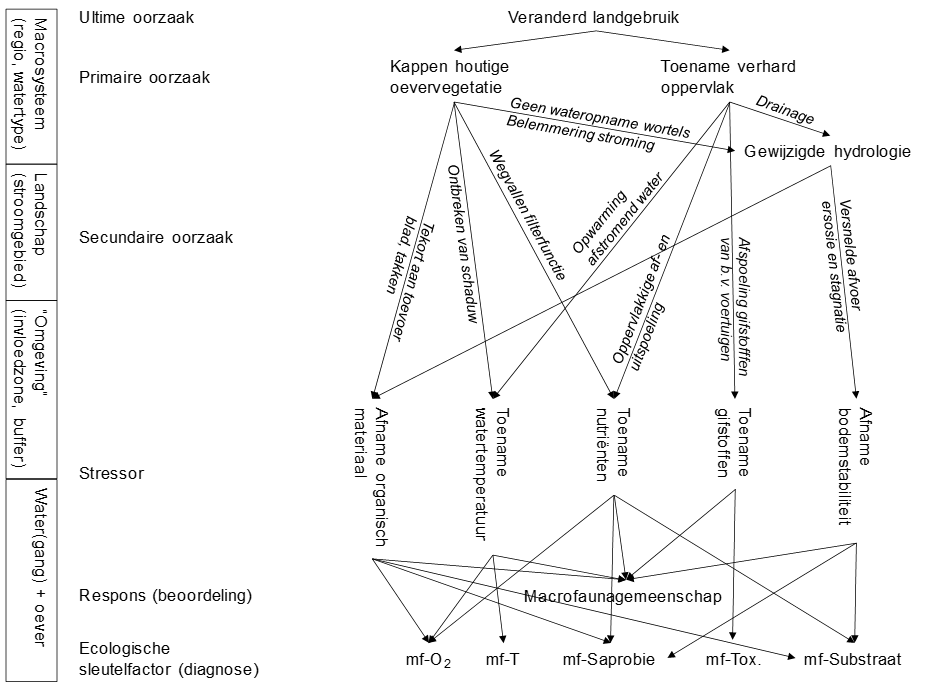 voorbeeld  hierarchie