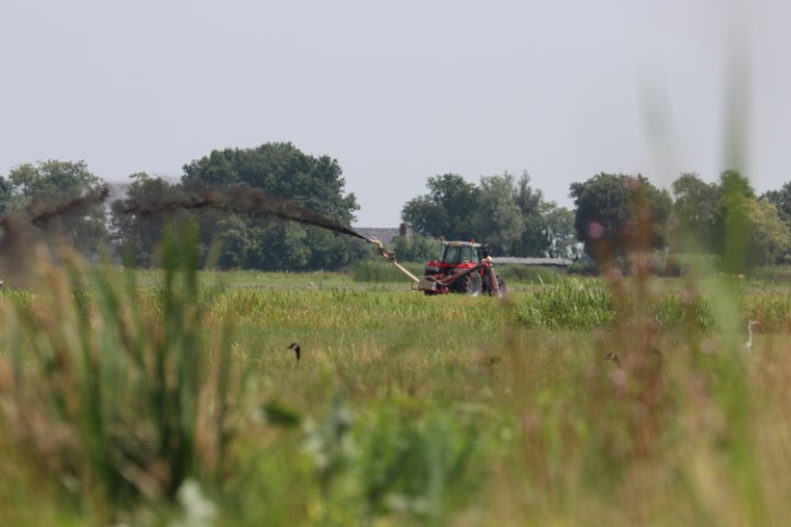 Nieuwkoopse-plassen